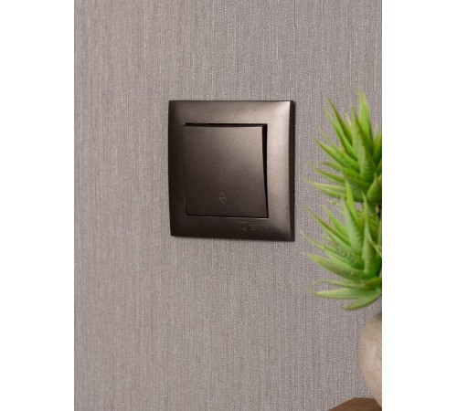 Валенсия лицевая панель выключателя проходного 1-кл. 10А графит EKF PROxima   ESV10-L-025-60   EKF