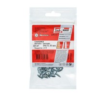 Саморез ШСММ 4,2х13 (22 шт) - пакет ( 0,032 кг)  102387  Tech-KREP