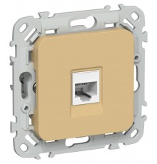 FLITE Розетка компьютерная RJ45 кат.5Е UTP РК5е-1-0-ФлШм шамуа  FI-K12-1-K89  IEK