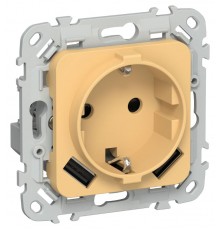 FLITE Розетка с заземлением со шторками 16А с USB A+A 3,1А быстрозажимные клеммы РСЮша11-1-ФлЗ золотарник  FI-R14-16-1-U21-D31-K90  IEK