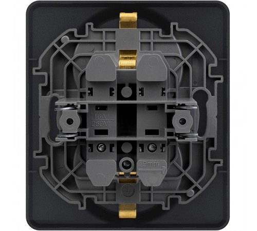 Inspiria Антрацит Розетка 2-ая с заземлением С/У 16А с рамкой  673753  Legrand