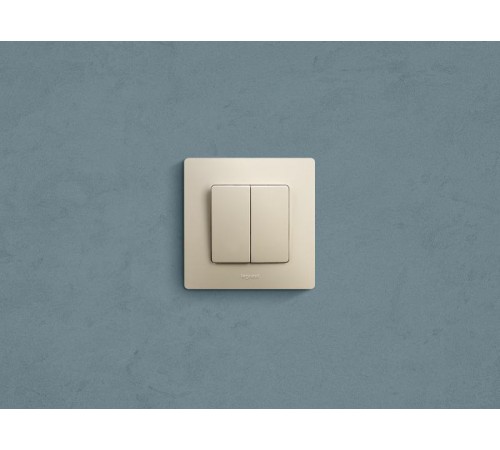 Etika Слоновая кость Выключатель 2-х клавишный, 10А, винтовые клеммы  672302  Legrand
