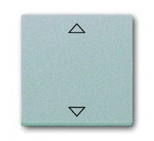 Клавиша для механизма электронного выкл. Busch-Jalousiecontrol , серия solo/future, цвет серебристо-алюминиевый  6430-0-0328   2CKA006430A0328  ABB