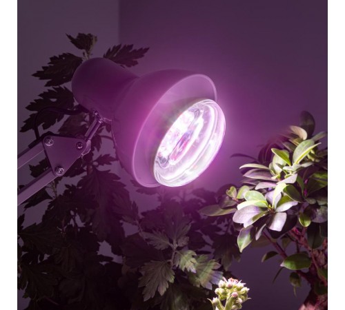 Лампа светодиодная фито для растений 15Вт E27 белый спектр FITO-15W-Ra90-E27  Б0039173  ЭРА