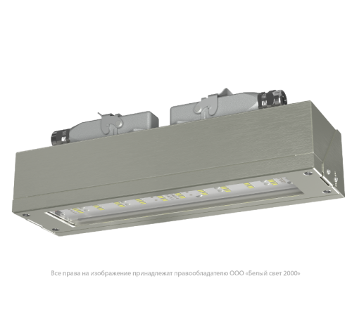 Светильник аварийного освещения BS-DBU-53-L2-INEXI3  a22637  Белый свет