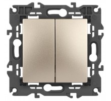 14-1104-04 Выключатель 2-клавишный, 10АХ-250В, IP20, Эра Elegance, шампань  Б0034233  ЭРА