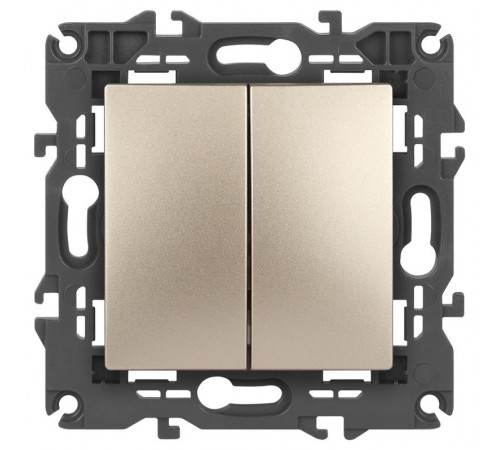 14-1104-04 Выключатель 2-клавишный, 10АХ-250В, IP20, Эра Elegance, шампань  Б0034233  ЭРА