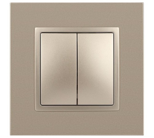 14-1104-04 Выключатель 2-клавишный, 10АХ-250В, IP20, Эра Elegance, шампань  Б0034233  ЭРА
