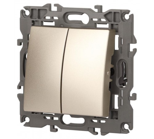 14-1104-04 Выключатель 2-клавишный, 10АХ-250В, IP20, Эра Elegance, шампань  Б0034233  ЭРА