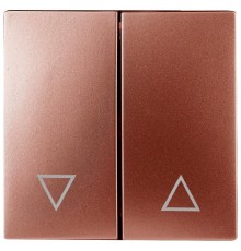 12-6203-14 Клавиши для 12-1109, 12-1110, 14-1109, 14-1110, медь   Б0047858  ЭРА