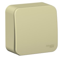 Blanca Бежевый О/У с изолирующей пластиной Выключатель 1-кл с самовозвратом (cх.1),10А  BLNCA101017  SE