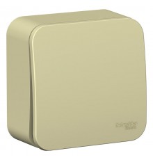 Blanca Бежевый О/У с изолирующей пластиной Выключатель 1-кл с самовозвратом (cх.1),10А  BLNCA101017  SE