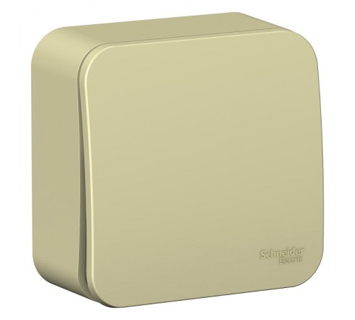 Blanca Бежевый О/У с изолирующей пластиной Выключатель 1-кл с самовозвратом (cх.1),10А  BLNCA101017  SE