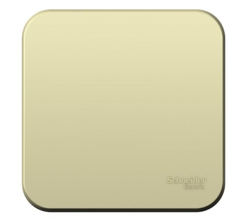 Blanca Бежевый О/У с изолирующей пластиной Выключатель 1-кл с самовозвратом (cх.1),10А  BLNCA101017  SE