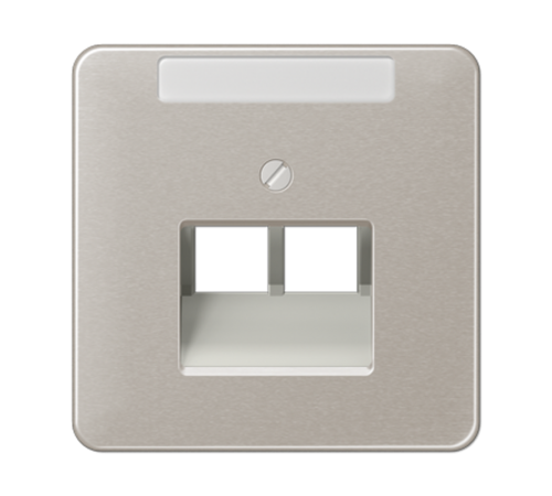 Крышка для ординарной телефонной и компютерной розетки  UAE; платина CD569-2NAUAPT Jung