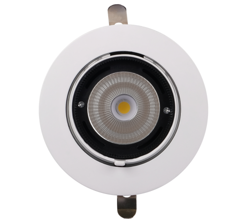 Светильник светодиодный встраиваемый downlight ДВО PLED DL4 30W 4000K 24° поворот White IP40  .5021907  Jazzway