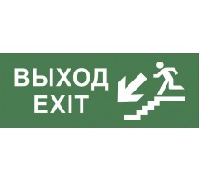 Самоклеющая этикетка INFO-DBA-013 "Выход/лест. вниз/фигура" ДПА/ДБА IP20/54  Б0048465  ЭРА
