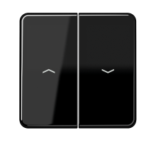 Клавиши для выключателя управления жалюзи 509VU и кнопки 539VU; черные  CD595PSW  Jung