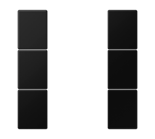Набор накладок 3 группы для модулей F50; термопласт; черный матовый LS503TSASWM Jung