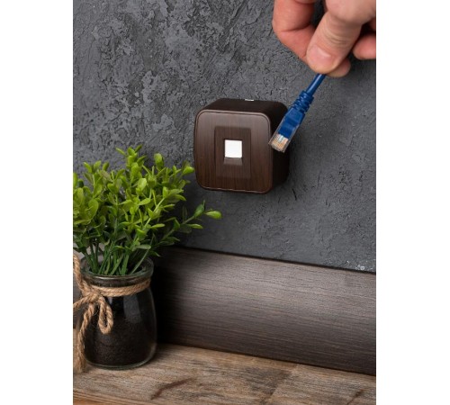 Розетка Phone 1-местная ОП Минск тёмное дерево EKF  EGT01-034-40  EKF