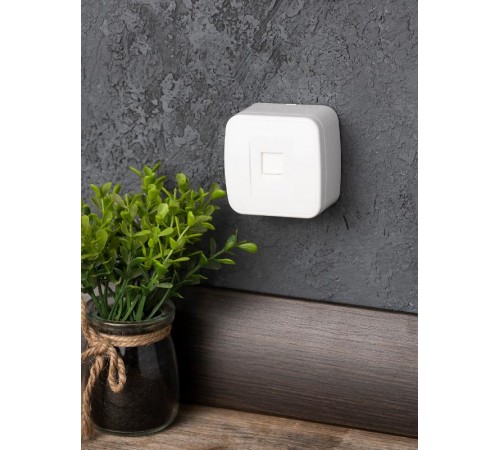 Минск Розетка Phone 1-местная ОП белая EKF Basic  EGT01-034-10  EKF