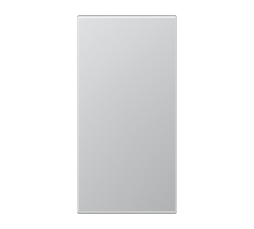 накладка алюминий (лак)  AL50NA-L  Jung