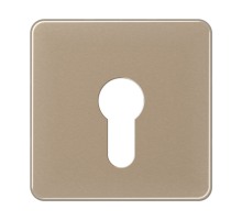 центральная плата для вставки с ключом CD525GB Jung