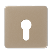 центральная плата для вставки с ключом CD525GB Jung