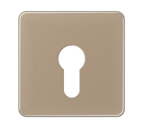 центральная плата для вставки с ключом CD525GB Jung