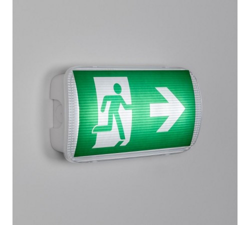 Аварийная панель EMG-PROOF-3h-4.5W (Пикт. направления, IP65) (Arlight, IP65 Пластик, 3 года)  046151  Arlight