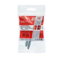 Болт DIN 571 сантехнический оцинк 10х70 (2 шт) - пакет ( 0,074 кг)  103882  Tech-KREP