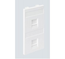 Simon Connect Адаптер на 2хRJ45 коннектора, S-модуль, с защит.шторками, графит  S76B-14  Simon