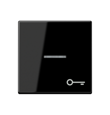 Клавиша с символом двери с подсветкой A590BFKO5TSW Jung