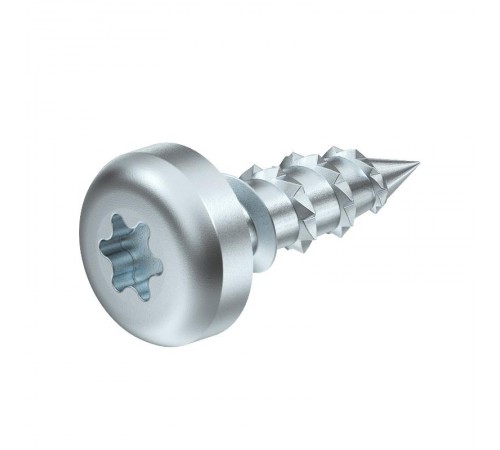 Болт 5x16 (BSKP-S5016)  3498096  OBO Bettermann