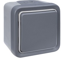 Plexo Серый Выключатель/Переключатель 1-клавишный наружный монтаж 10А (в сборе) IP55  069711  Legrand