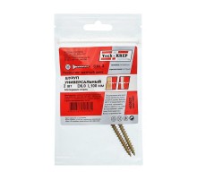 Саморез ШУж 6,0х100 пот. гол. (2 шт) - пакет ( 0,027 кг)  102523  Tech-KREP