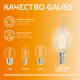 Лампа светодиодная   Filament Elementary Свеча на ветру 12W 730lm 2700К Е14 LED 1/10/100  42112  Gauss