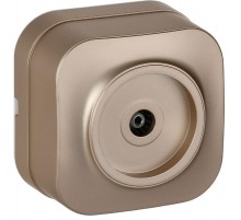 GLORY Розетка TV о/у РТВ20-ХШм шампань матовый  EAH10-K37M  IEK