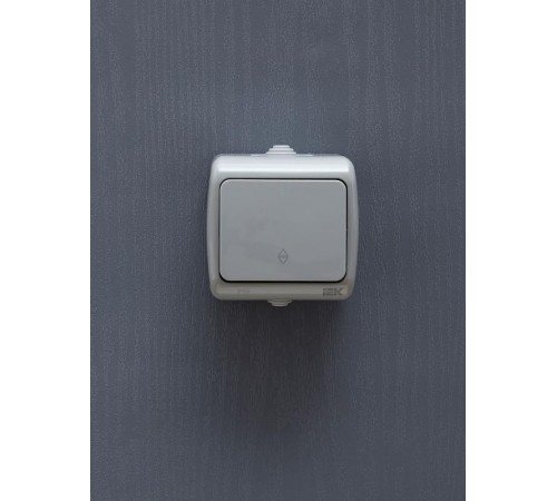 AQUATIC IEK Выключатель 1-клавишный проходной 10А О/У IP54 ВС-20-1-2-А  EVA12-K03-10-54  GENERICA