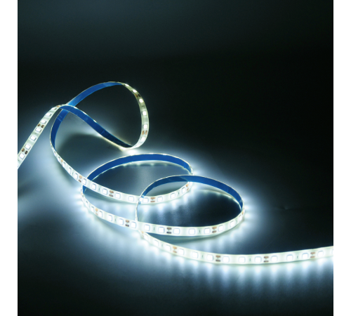 Лента светодиодная Basic LED 5050/60 12V 10W/m 700lm/m 4000K 10mm IP65 5m 1/100  BT053  Gauss