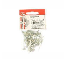 Гвоздь толевый евро оцинк. 3,0х30 (100 г) - пакет  128314  Tech-KREP