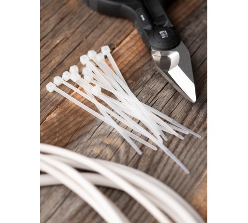 Хомут P6.6 стандартный (б), 2.5x100 (100шт) FlexLock PROxima  plc-fl-ctsw-2.5x100  EKF