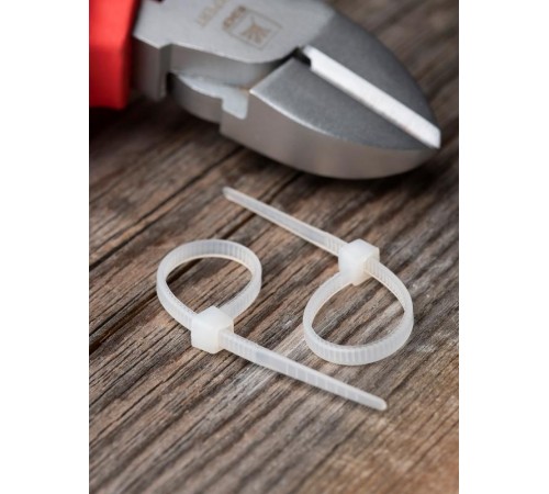 Хомут P6.6 стандартный (б), 2.5x100 (100шт) FlexLock PROxima  plc-fl-ctsw-2.5x100  EKF