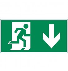 Пиктограмма "ФИГУРА / СТРЕЛКА ВНИЗ" 400х200мм для аварийно-эвакуационного светильника Vault  V5-EM03-60.013.021  VARTON 