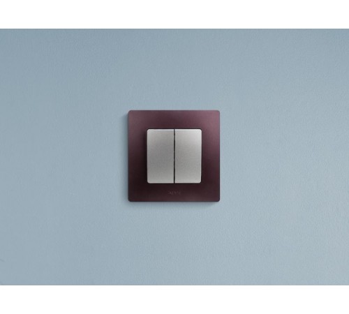 Etika Алюминий Выключатель 2-клавишный, автозажимные клеммы, 10 AX, 250 В  672402  Legrand