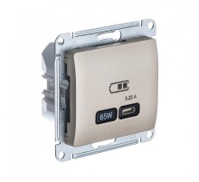 Glossa Титан USB Розетка тип-C 65W высокоскор.заряд. QC PD  GSL000427  SE