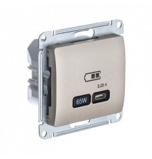 Glossa Титан USB Розетка тип-C 65W высокоскор.заряд. QC PD  GSL000427  SE