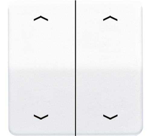 Клавиши для сдвоенной кнопки BCU; белые CD595MPWW Jung