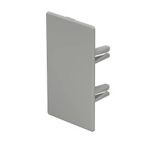 Торцевая заглушка кабельного канала WDK 60x110 мм (ПВХ,серый) (WDK HE60110GR)  6022588  OBO Bettermann
