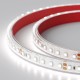 Лента светодиодная RTW 2-5000PS-50m 24V White6000 2x (3528, 120 LED/m, LUX)  024574  Arlight
